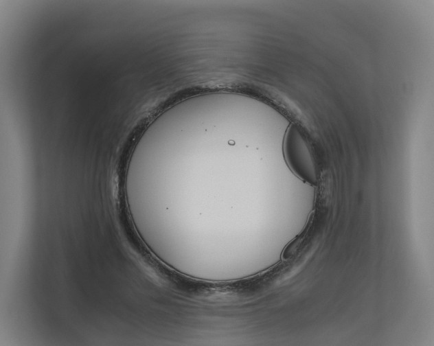 X0000111030589200906251119