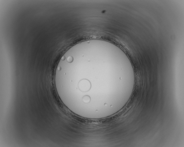 X0000111030594200906251119