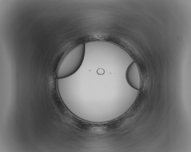 X0000111030595200906251119