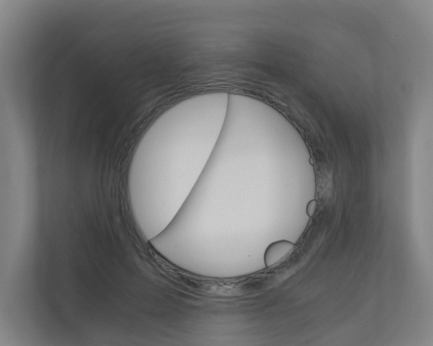 X0000111030599200906251119