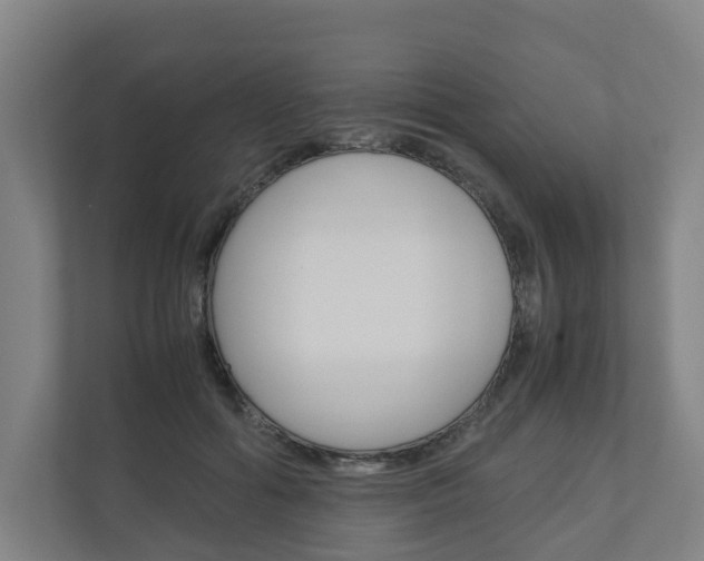 X0000111030602200906251119