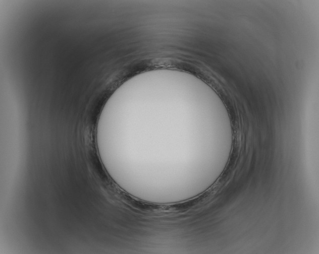 X0000111030603200906251119