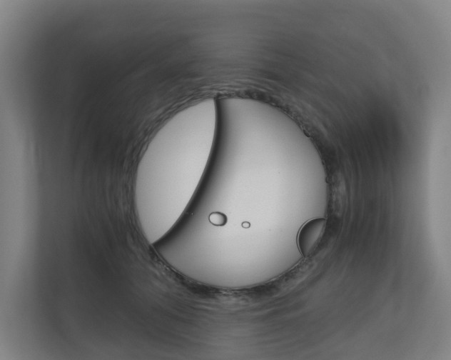 X0000111030608200906251119