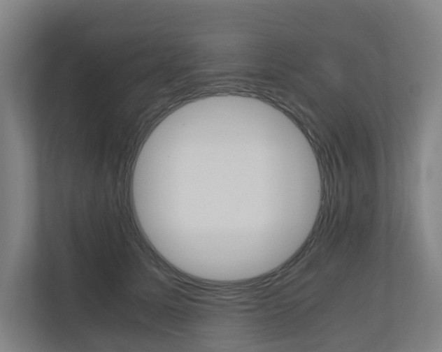 X0000111030611200906251119