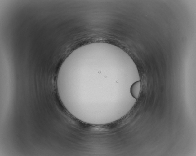 X0000111030614200906251119