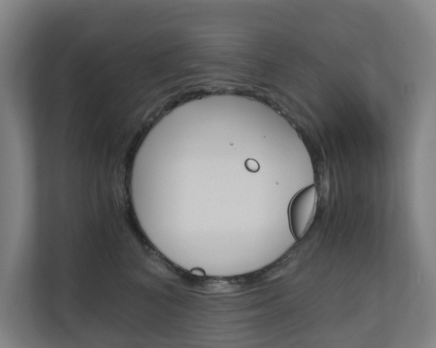 X0000111030616200906251119