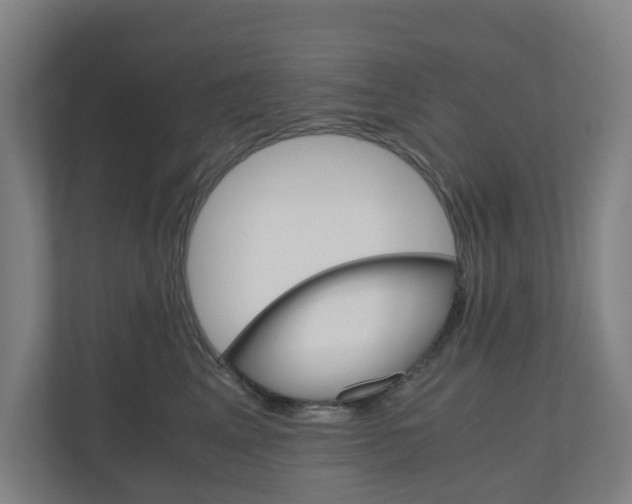 X0000111030617200906251119