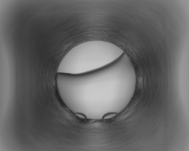 X0000111030620200906251119