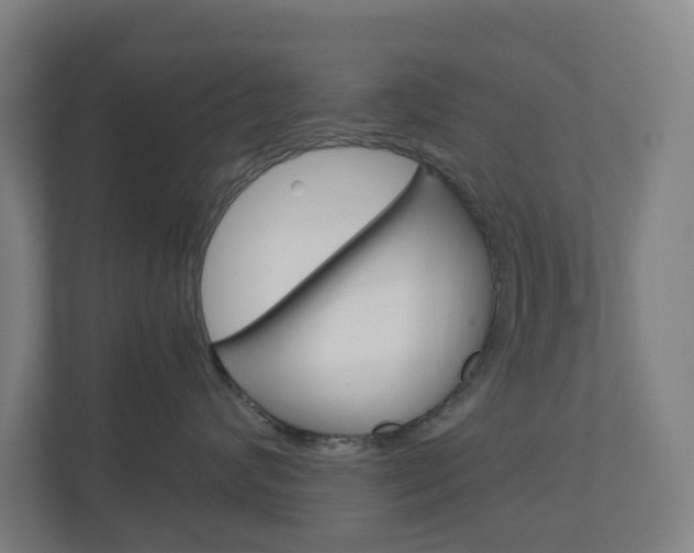 X0000111030624200906251119