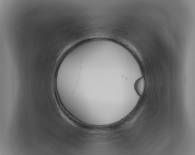 X0000111030625200906251118