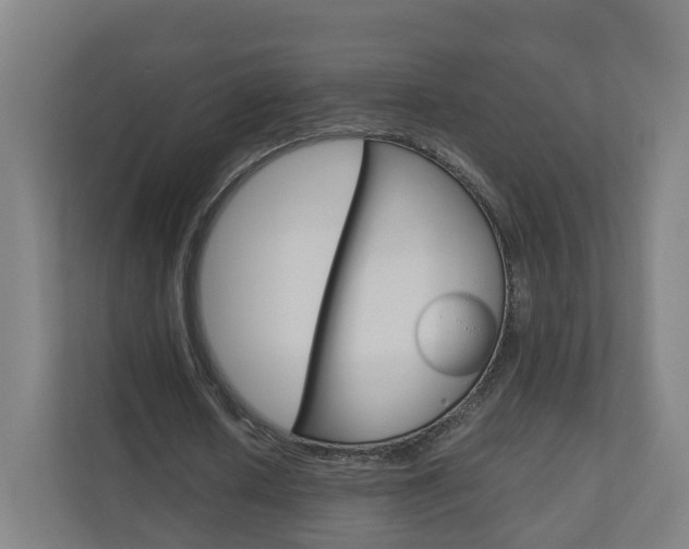 X0000111030626200906251118