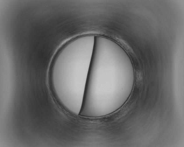 X0000111030628200906251118