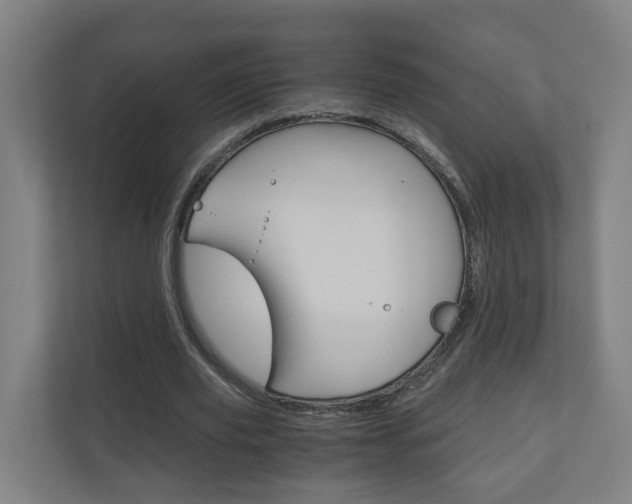 X0000111030629200906251118