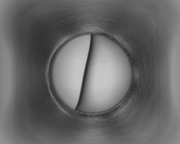 X0000111030630200906251118
