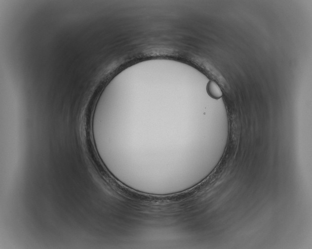 X0000111030631200906251118