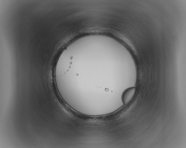 X0000111030633200906251118