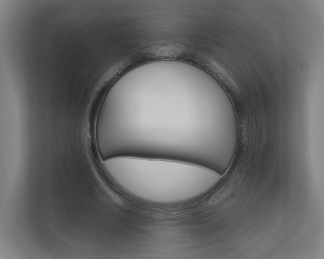 X0000111030634200906251118