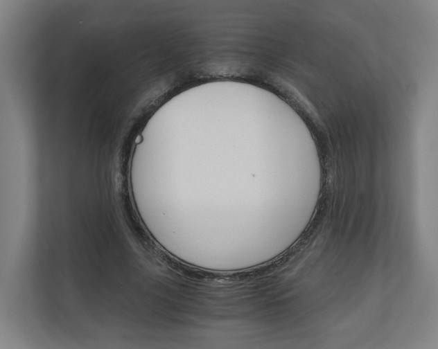 X0000111030635200906251118