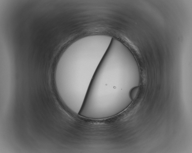X0000111030637200906251118