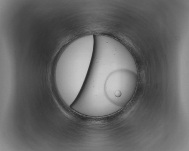 X0000111030638200906251118