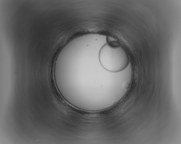 X0000111030639200906251118