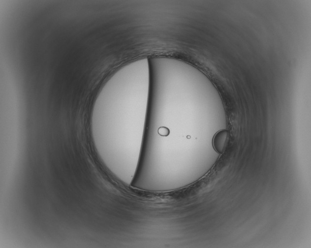 X0000111030642200906251118