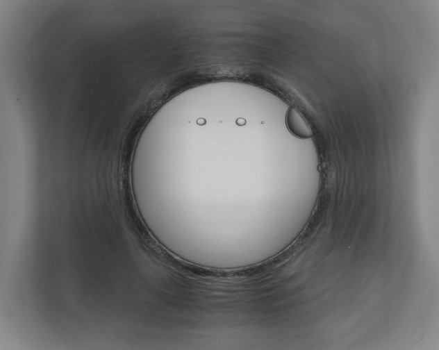 X0000111030643200906251118
