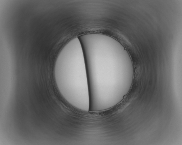 X0000111030644200906251118