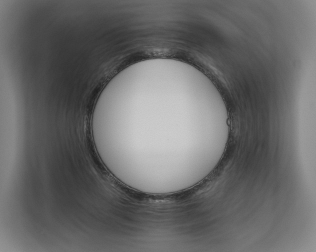 X0000111030645200906251118