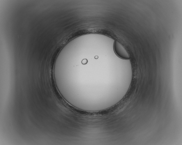 X0000111030646200906251118