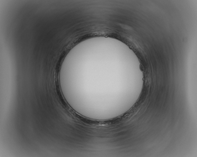 X0000111030647200906251118