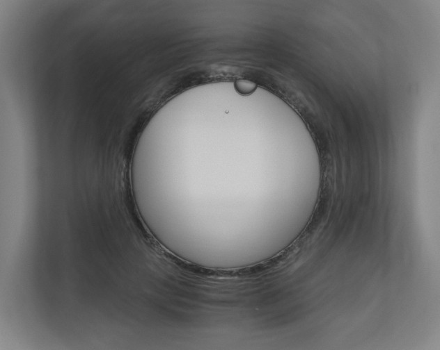 X0000111030649200906251118