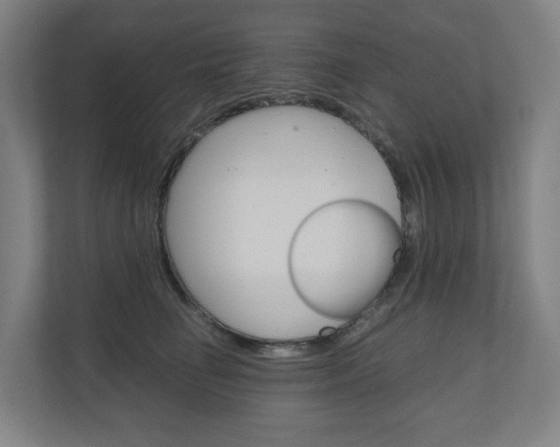 X0000111030662200906251119