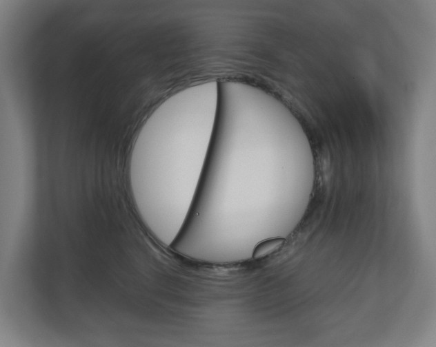 X0000111030664200906251119