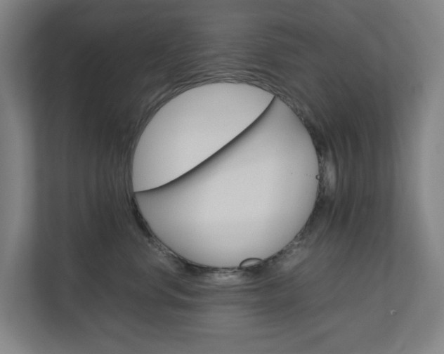 X0000111030668200906251119