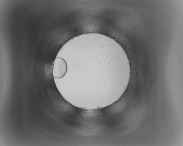 X0000111030672200906251119