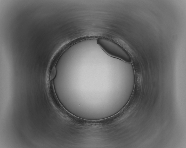 X0000111030676200906251118