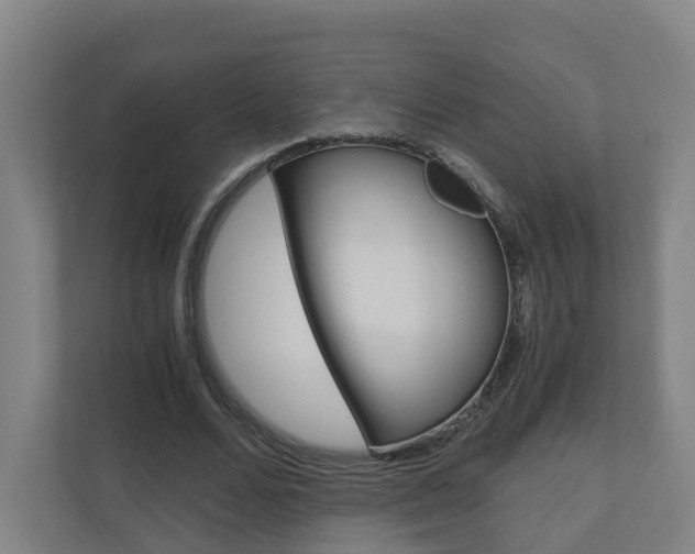 X0000111030680200906251118