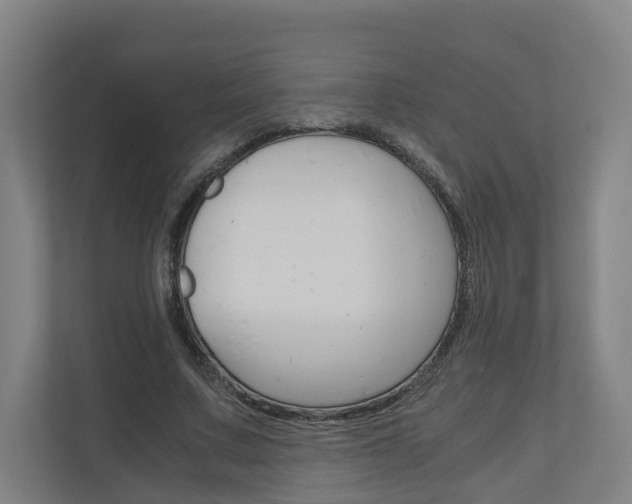 X0000111030683200906251118
