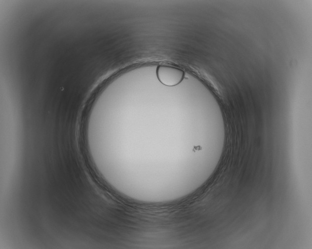 X0000111030684200906251118