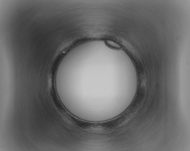 X0000111030685200906251118