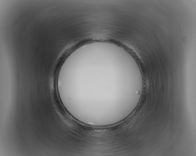 X0000111030686200906251118