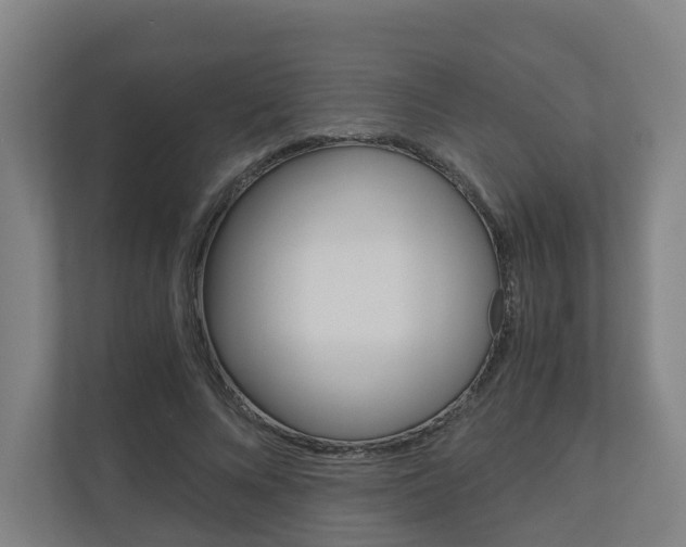 X0000111030688200906251118