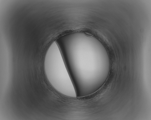 X0000111030689200906251118