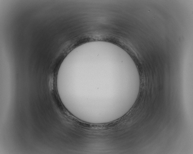 X0000111030694200906251118
