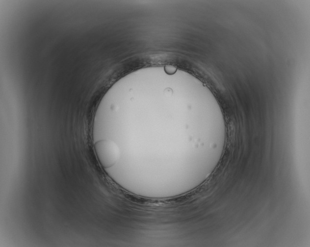 X0000111030698200906251118