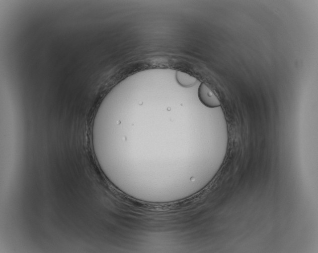 X0000111030702200906251118