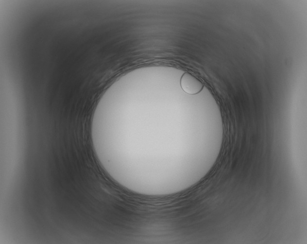 X0000111030704200906251118