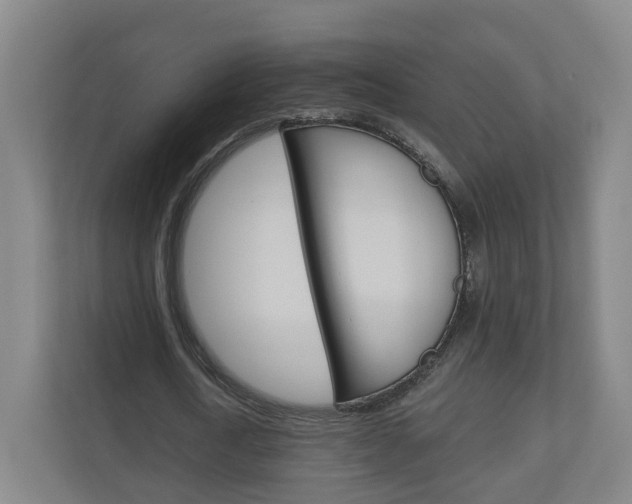 X0000111030722200906251117