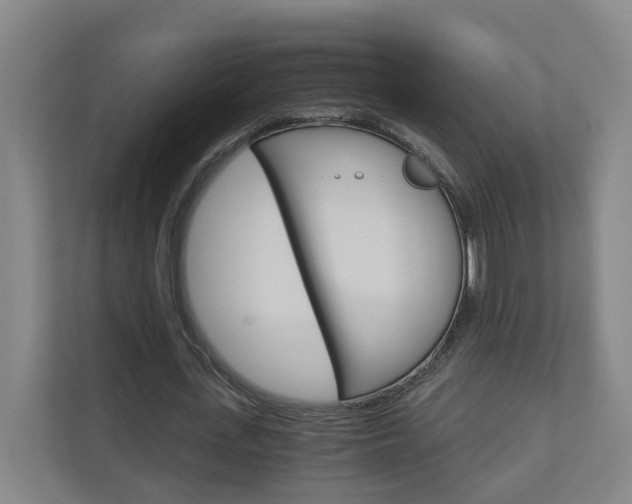 X0000111030723200906251117